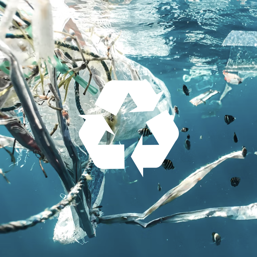 Atlas collectif sustainable recycled